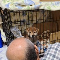 家族に迎えて3日目…