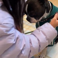 たま君と女の子の成長8