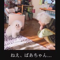 ひいおばあちゃんのことが大好き