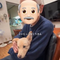 抱っこしてもらう犬