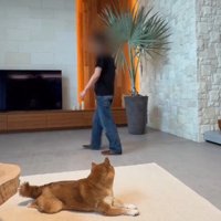 パパには知らんぷり！？