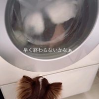 「早く終わらないかな」