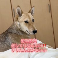 ギャップにキュン
