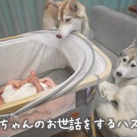 不審者が家に侵入！？