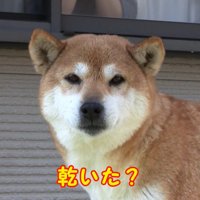 綺麗でモフモフになりました♪