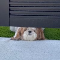 反対側