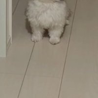 お出迎え