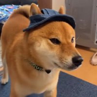 サイズが小さすぎる！！