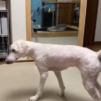 「そんなわけないか…」