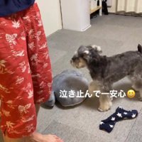 ほっと一安心♡