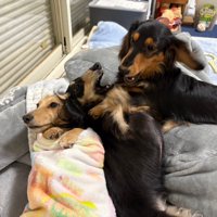 わちゃわちゃ♪