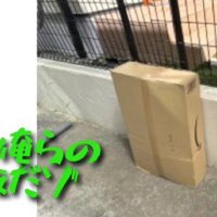 荷物だけじゃなかった