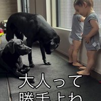 笑顔で犬を見つめる赤ちゃん