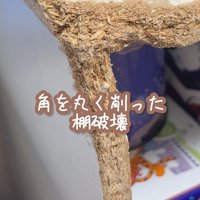 イタズラ好きなたこやきちゃん3