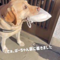 おばあちゃんの家に到着