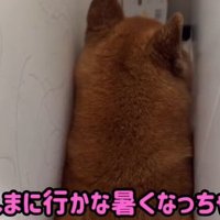 ママの話を聞くロックくん
