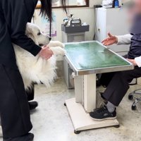 完全にへっぴり腰