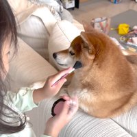 遊びに付き合ってくれる花子ちゃん