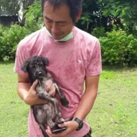 協力してくれる人も現れた