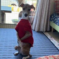 「ちゃんとできました」