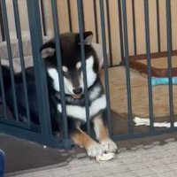 サークル