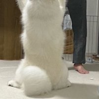 目の前