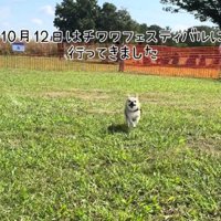 幸せそうな笑顔に涙…