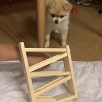 思わず後ずさり