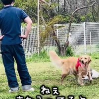 「おからちゃん、またやってる！」