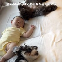 みんなで「ZZZ…」
