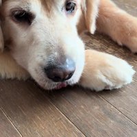 「全然知らない…」