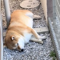 全く起きなさそう。
