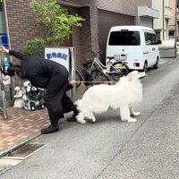 まさかのフェイント！？
