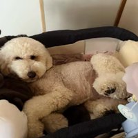 憧れが手に入ったね！