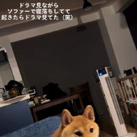 声をかけてみると…