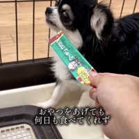 おやつも食べない