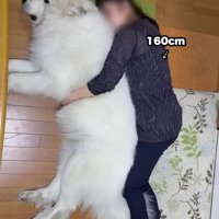 おばあちゃんが添い寝