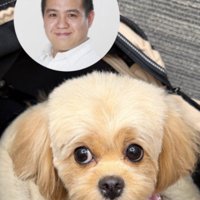 まさかの角刈りに！！