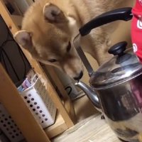 溜めて溜めて解放！？