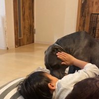 ハルクくんを触る息子さん