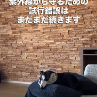優しさと努力が詰まったマスク