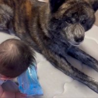 ちょっぴり気まずそう