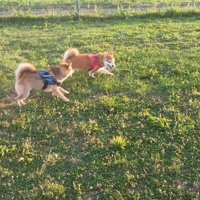 これからも幸せにね！！