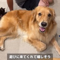 「仲良くなれたかも！！」