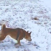 遠くに見つけたのは…