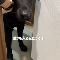 押し出されるラブくん