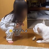 はなちゃんを叱る女の子