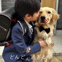 犬の頬にキスする人