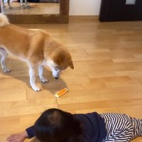 「いやだ～！！」