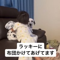 大型犬に布団をかける子供